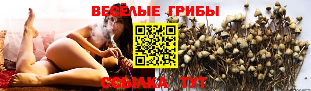 Медногорск  Галлюциногенные грибы Magic Shrooms  Псилоцибиновые грибы мицелий  Вход с VPN 